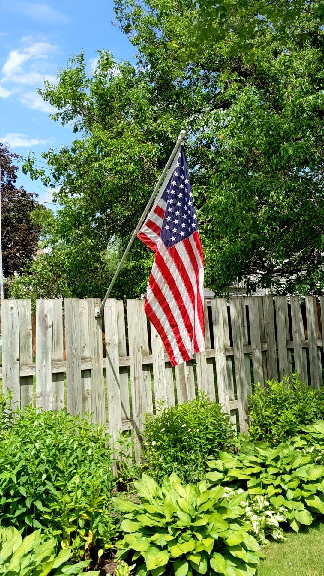 Freedom Flag and Pole
